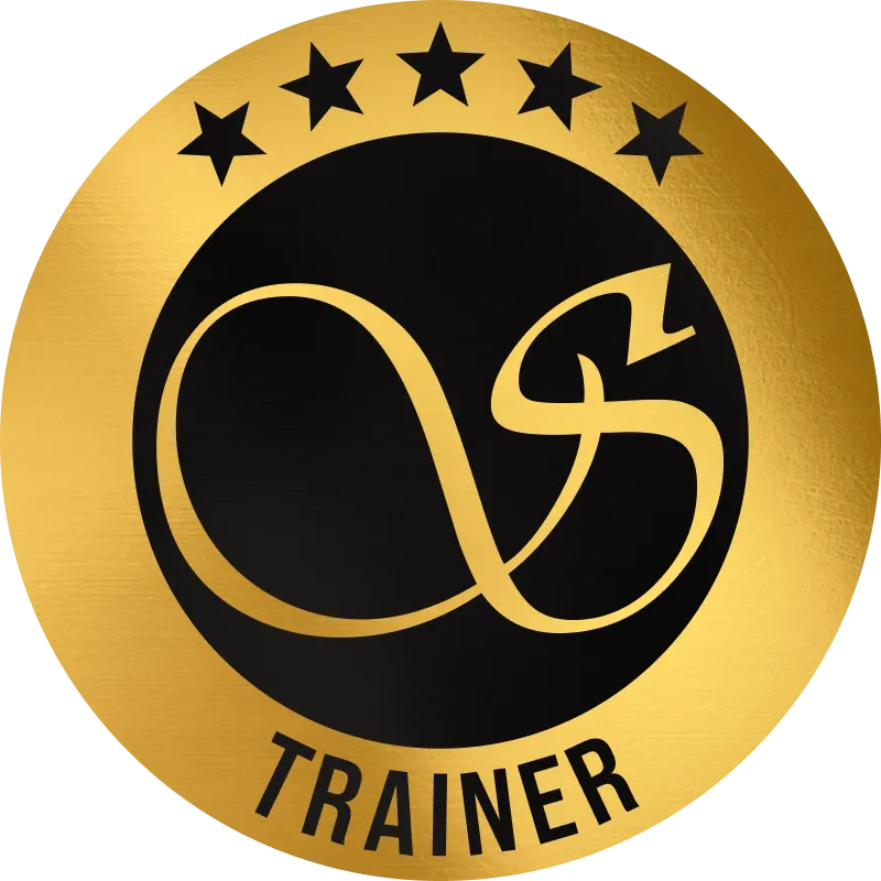 sviato academy artist trainer logo